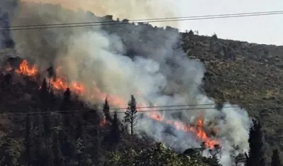Požar na Golom Brdu kod Sutomora: Velika povr&scaron;ina zahvaćena vatrom