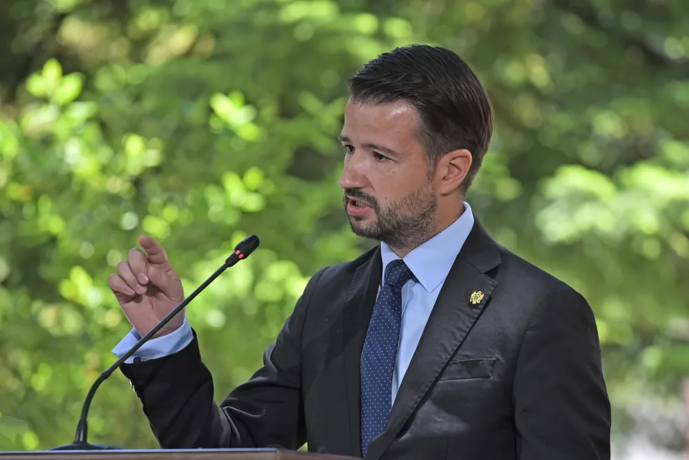 Milatović da spriječi uni&scaron;tenje crnogorskih &scaron;uma