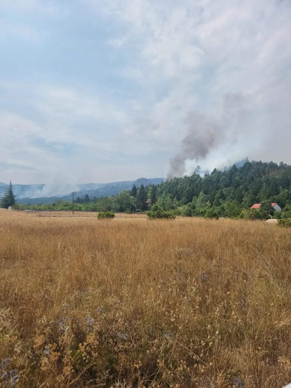 Požar na Radovču: Ugrožene kuće u Dubravicama