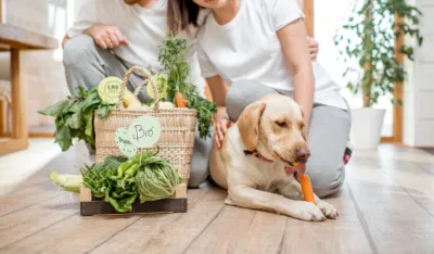 Britanski veterinari: Moguće je hraniti pse biljnom hranom