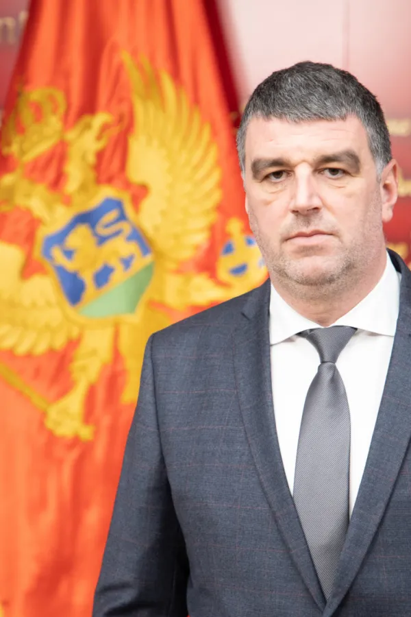 Zečević: PES podržava zahtjeve drvoprerađivača - jednaki uslovi za sve