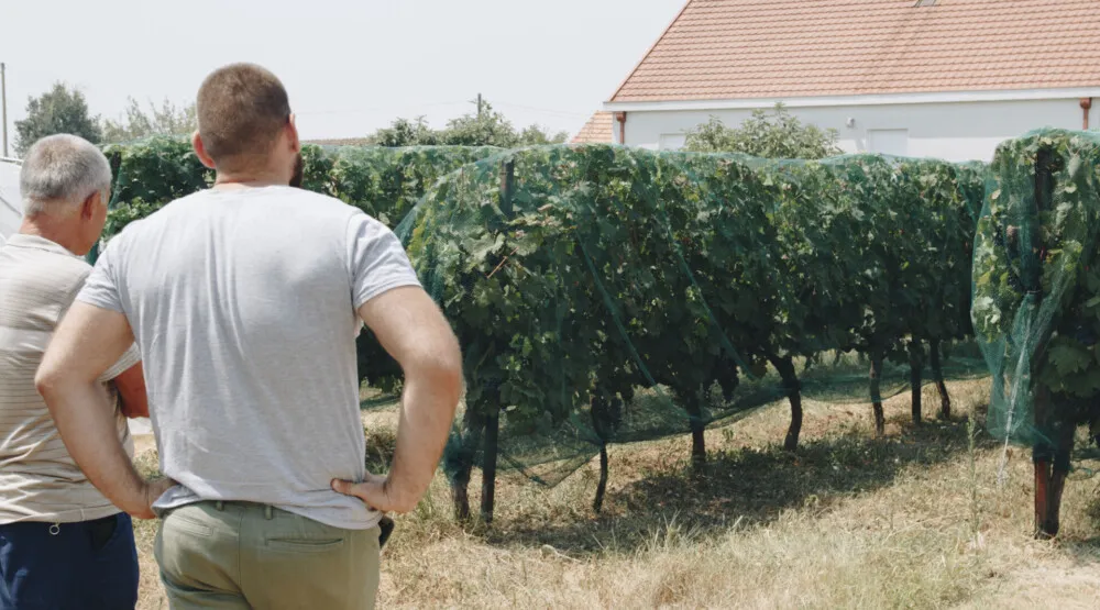 Dodijeljene mreže za za&scaron;titu usjeva od ptica 