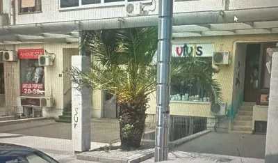 Oslobodiće palmu od nadstre&scaron;nice