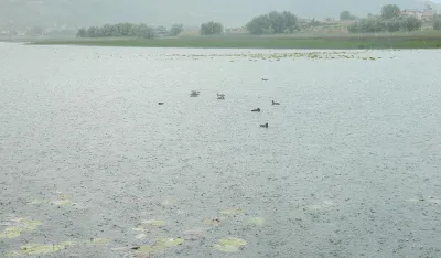 Svјetska banka spremna da pomogne u spasavanju Plavskog јezera