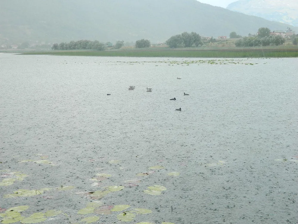 Svјetska banka spremna da pomogne u spasavanju Plavskog јezera