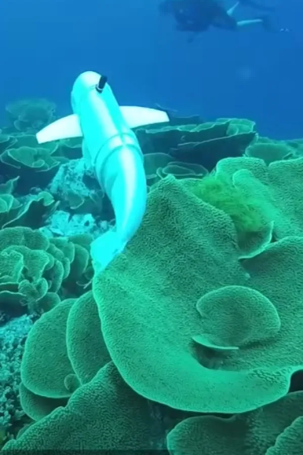 (VIDEO) Robotska riba zvana Eva krstari &scaron;vajcarskim jezerom