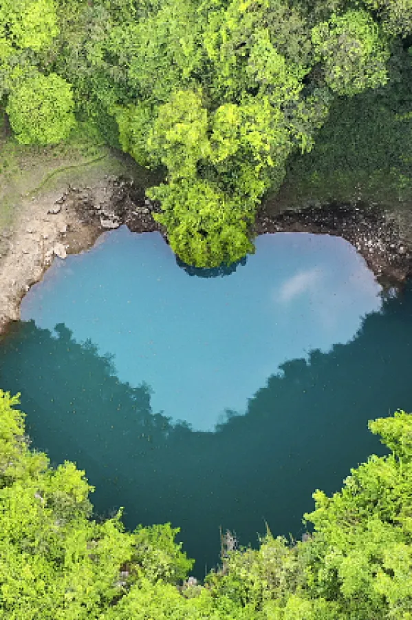 Ilustracijazelena tranzicija