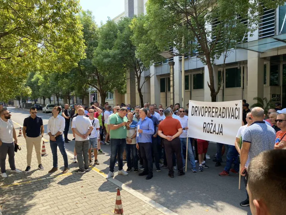 Drvoprerađivači protestovali ispred Vlade, ministarstvo traži rje&scaron;enje