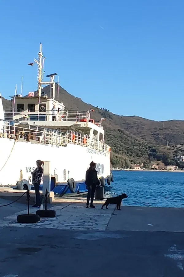 Počela onlajn prodaja karata za trajektnu liniju Kamenari - Lepetane