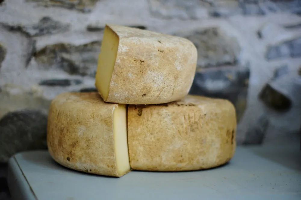 Banka u Italiji prihvata parmezan kao zalog