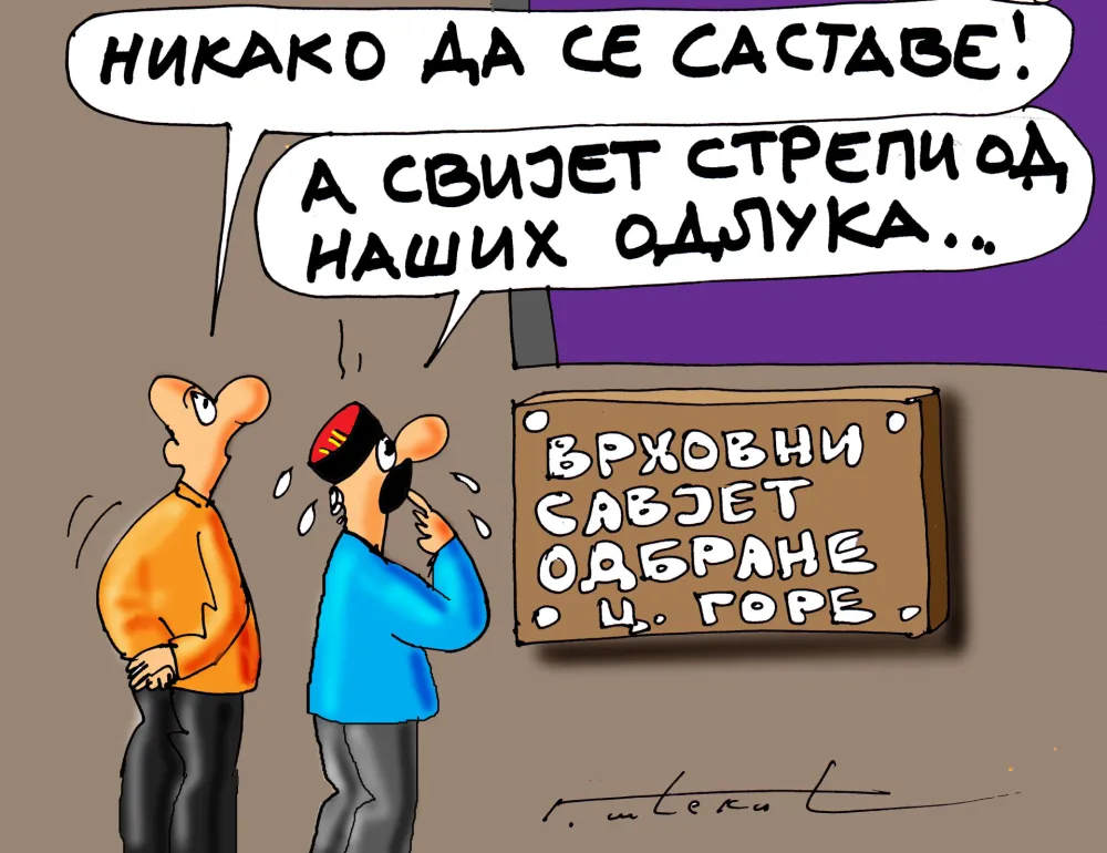 Goran &Scaron;ćekić karikatura Dana