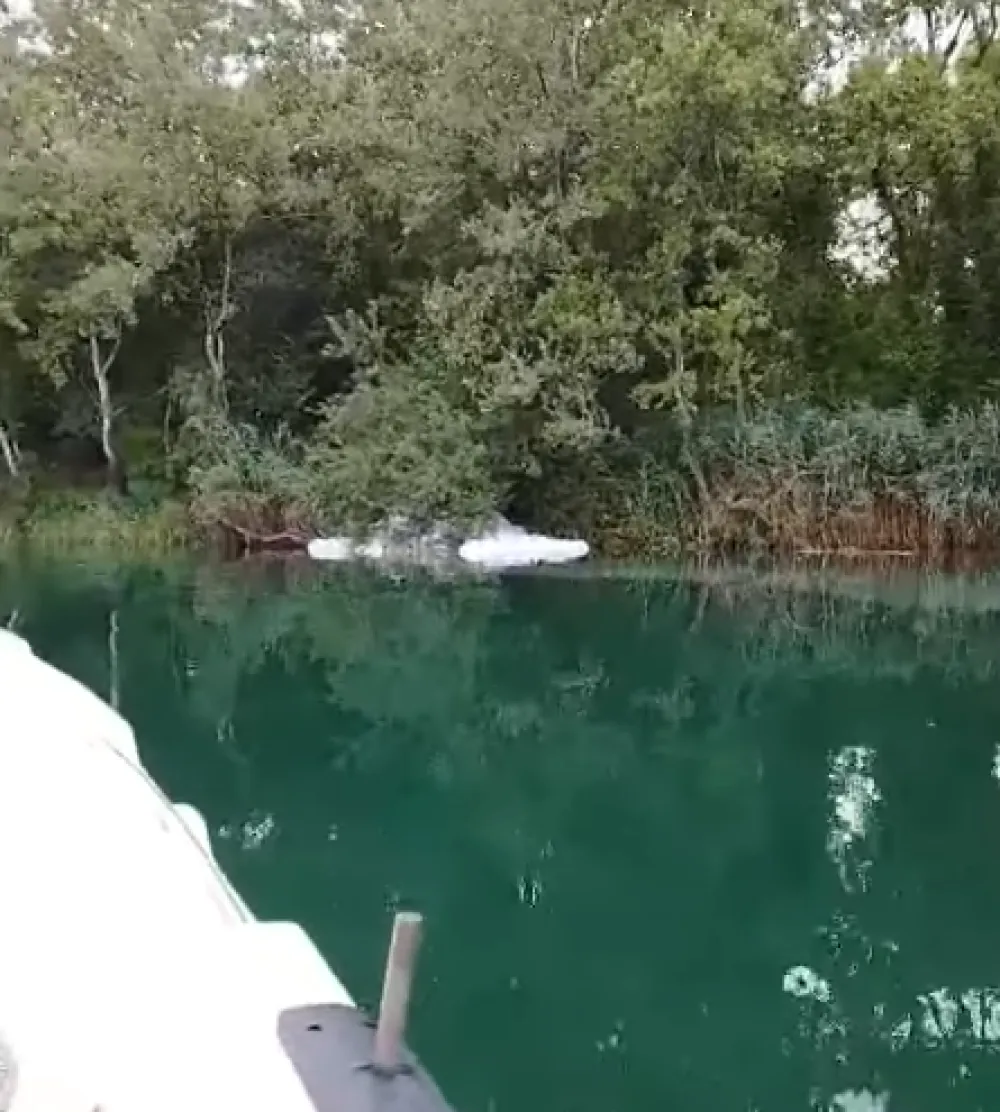 (VIDEO) U Udruženju "Ada Bojana" zabrinuti zbog ispu&scaron;tanja fekalija iz Albanije u rijeku Bojanu