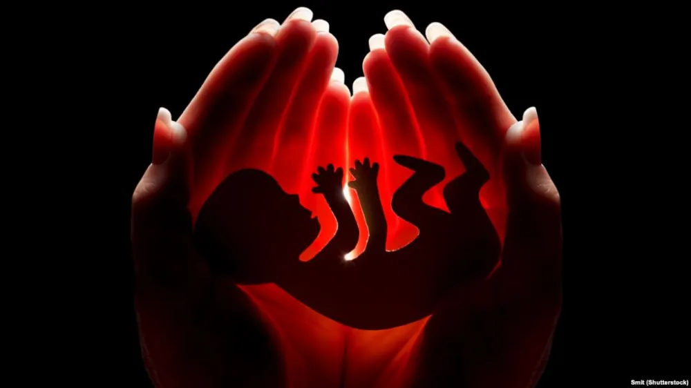 Zabrinjavajući podaci IJZ: Za &scaron;est godina 5.000 abortusa