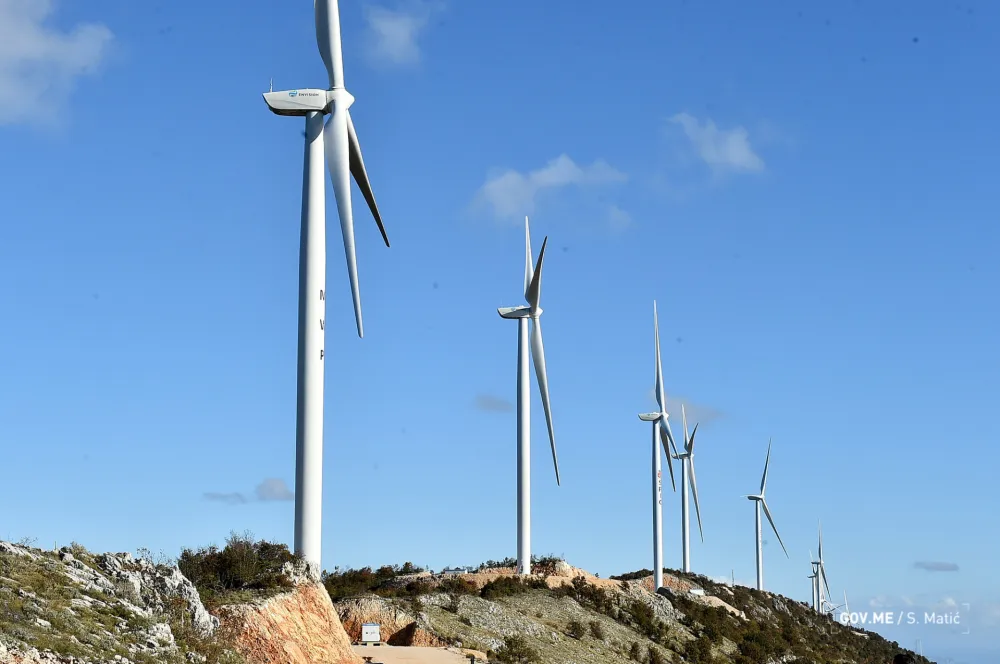 ASP: Tajkuni opet potopili državnu EPCG