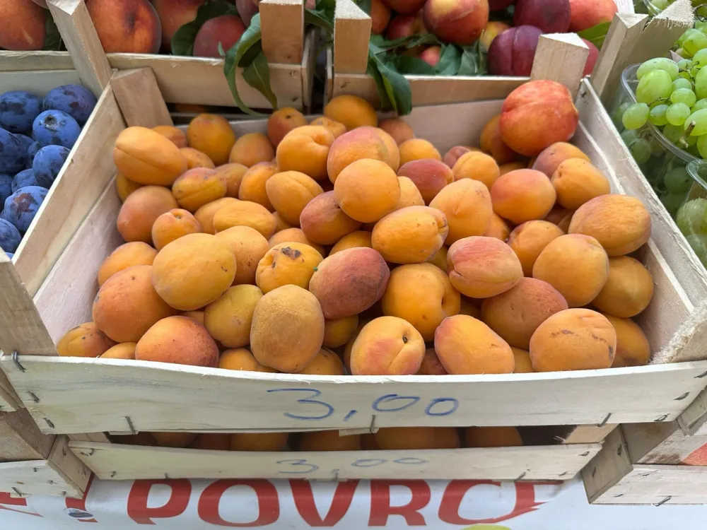 Kilogram kajsija tri eura