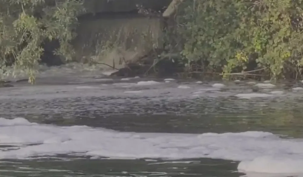 Fekalije u rijeci Bojani