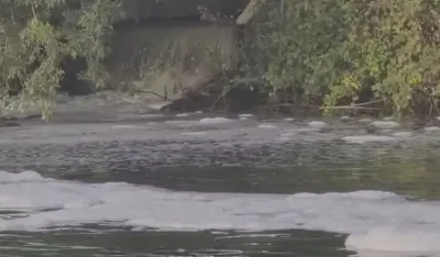 Fekalije u rijeci Bojani