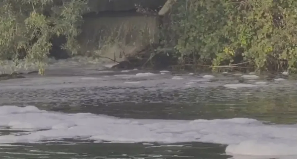 Fekalije u rijeci Bojani