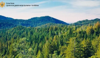 Suspendovan čuvar &scaron;ume zbog propusta u radu