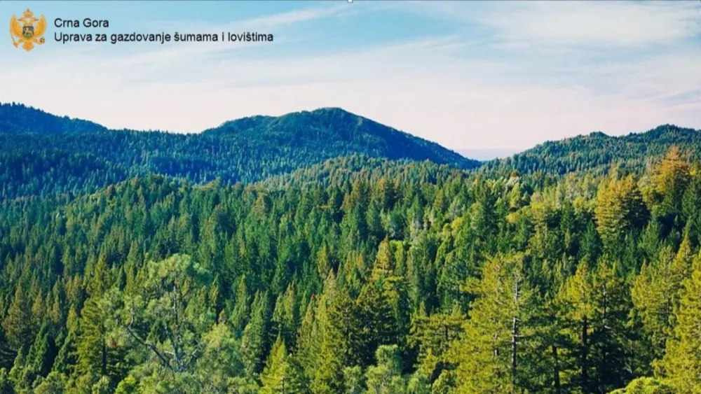 Suspendovan čuvar &scaron;ume zbog propusta u radu