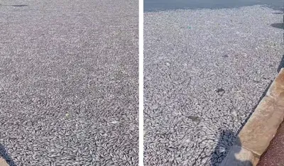 Foto: Facebook/dema.skebe