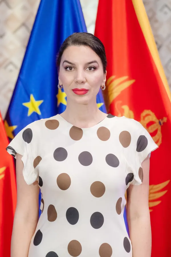 Mićović: Odžićevi partneri iz SD-a dobijali stanove, kad su minimalne plate i penzije bile ne&scaron;to vi&scaron;e od 100 eura