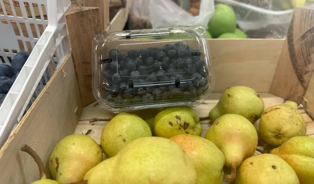 Kilogram borovnica 15 eura