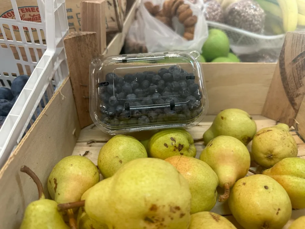 Kilogram borovnica 15 eura