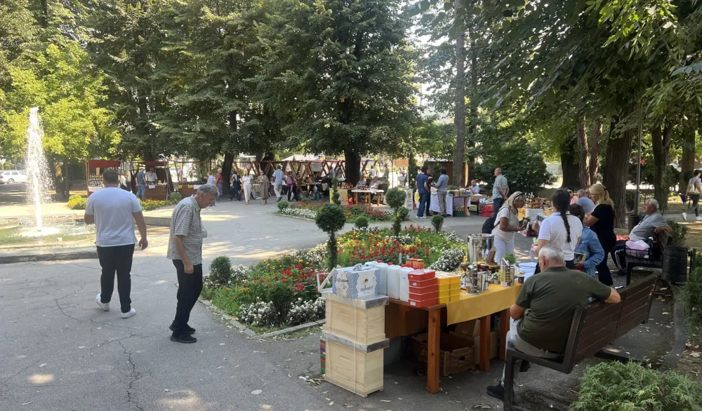 Pčelarstvo kao tradicija, med kao hrana i lijek