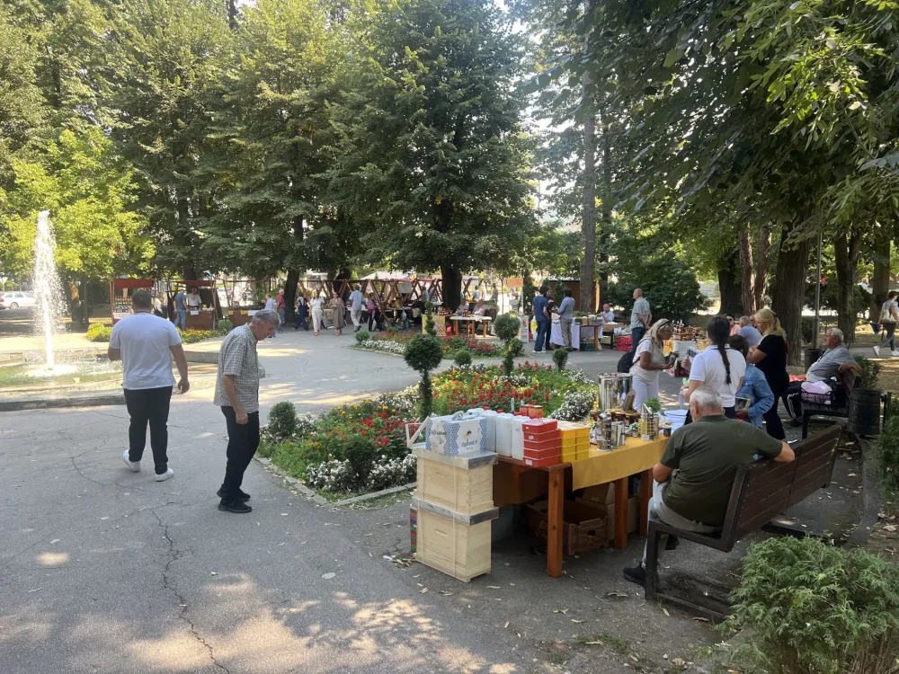 Pčelarstvo kao tradicija, med kao hrana i lijek