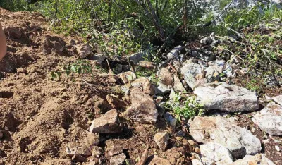 Đaković: Ministar i ja nismo direktno uključeni u određivanje lokacije za uklanjanje eutanaziranih životinja