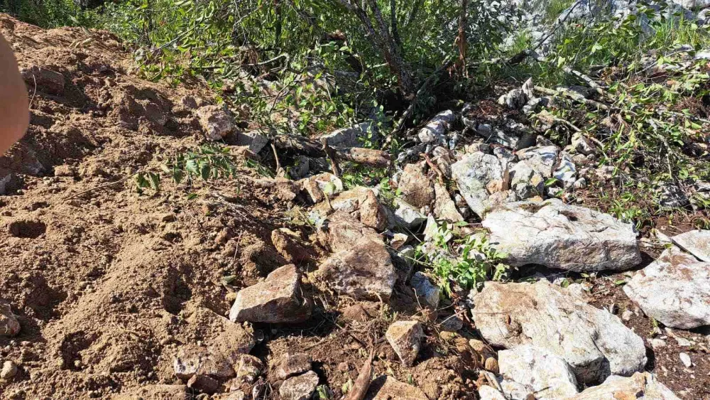 Đaković: Ministar i ja nismo direktno uključeni u određivanje lokacije za uklanjanje eutanaziranih životinja