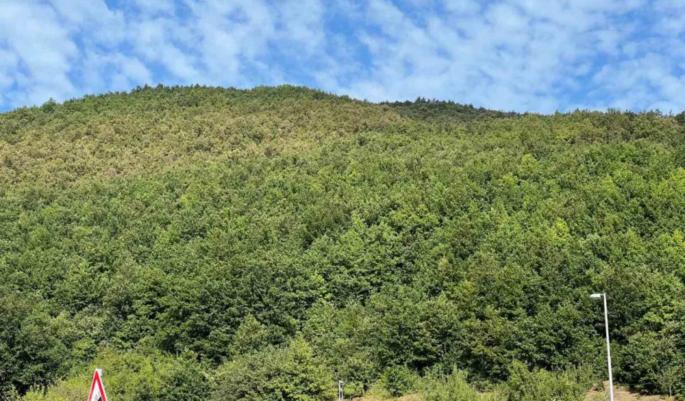 Vasove vode i dalje potenciјalna opasnost za životnu sredinu