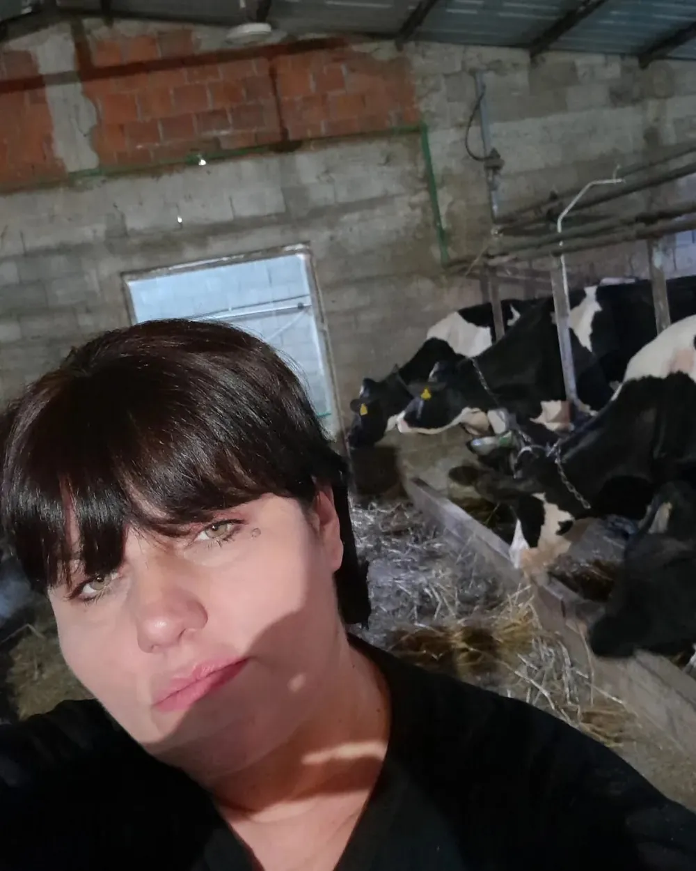 Farmeri zabrinuti zbog kju groznice: "Situacija tužna, država da pomogne"