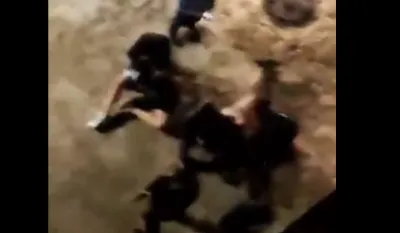 (VIDEO) Kosovo: Uhap&scaron;ena četiri srpska mladića zbog napada na policiju