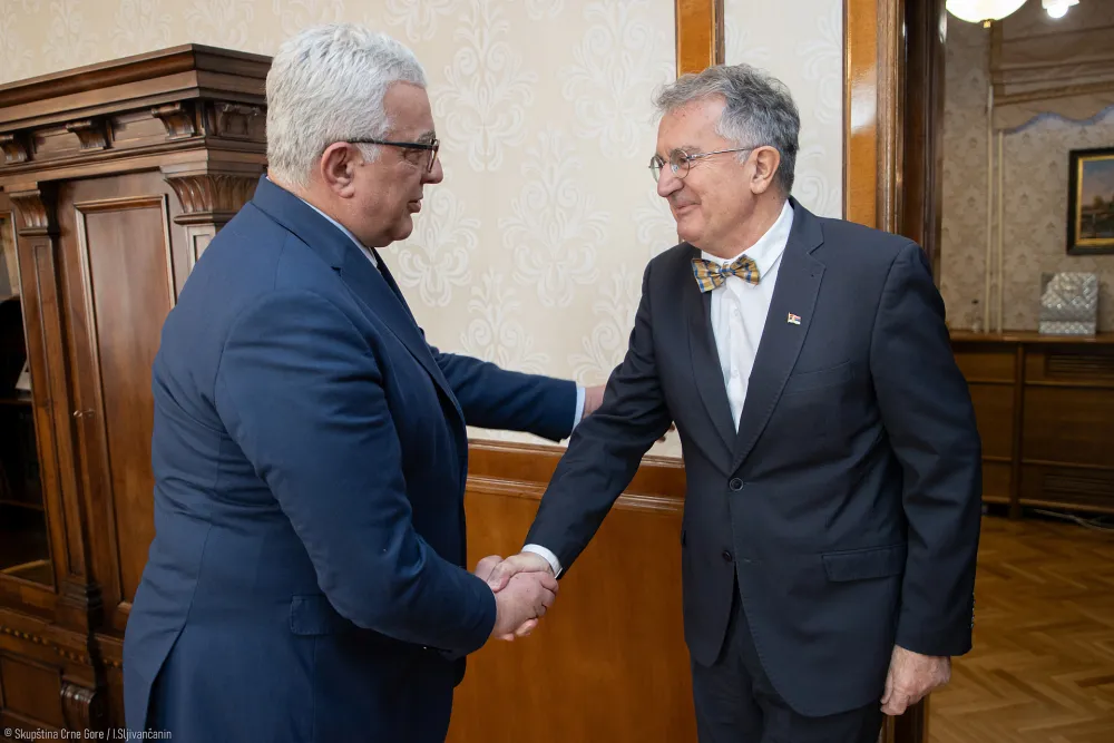 Mandić sa Rodićem: Pronaći rje&scaron;enje za Srbe na Kosovu