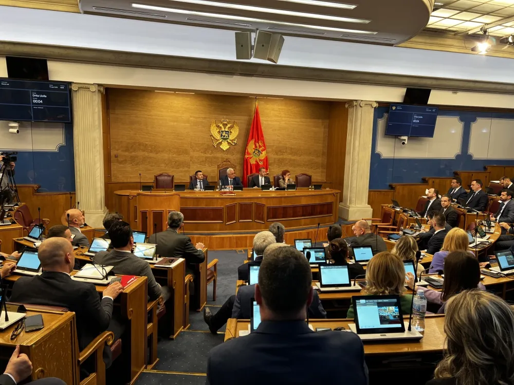 &Scaron;ta pi&scaron;e u Predlogu Rezolucije o genocidu u &Scaron;ahovićima