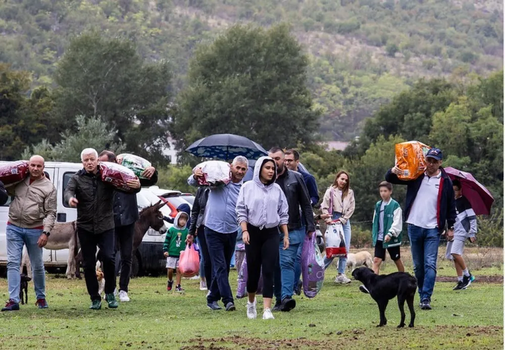 SEP: Podgorica će biti grad koji brine o bezdomnim životinjama