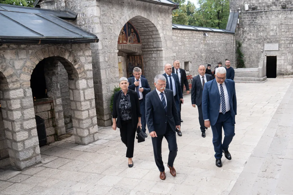 Mandić i Kover