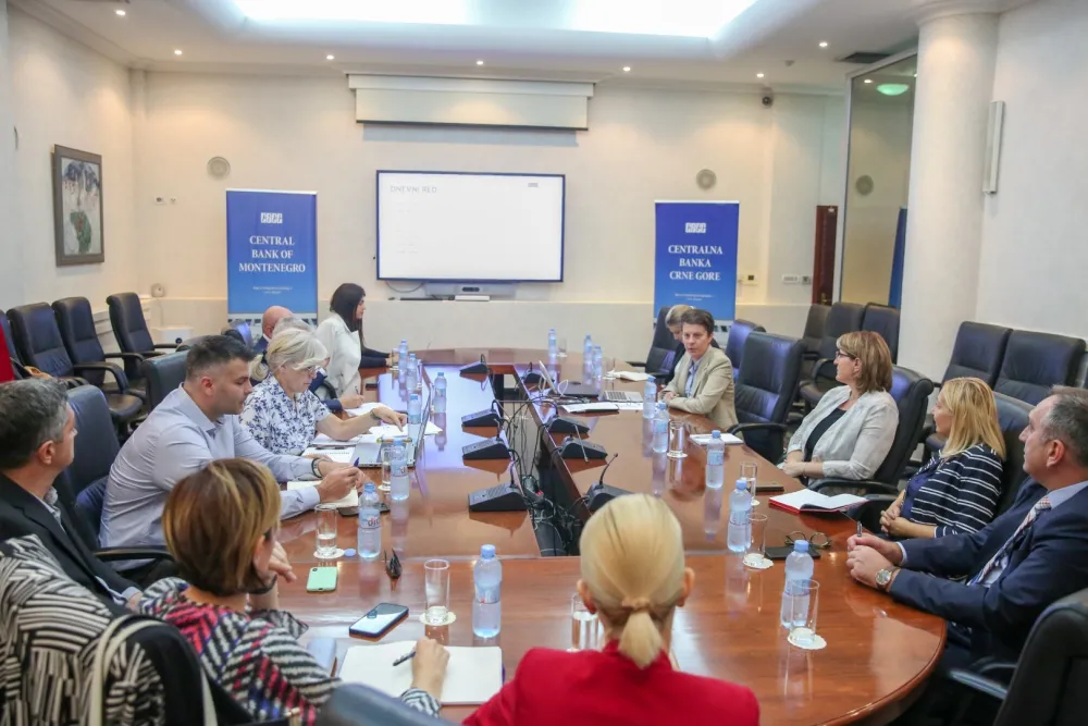 Održana&nbsp;sjednica Radne grupe za izradu Mape puta finansijskog sektora ka održivim finansijama