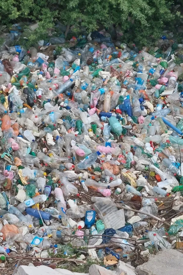 Crna Gora 33 godine ekolo&scaron;ka država samo na papiru