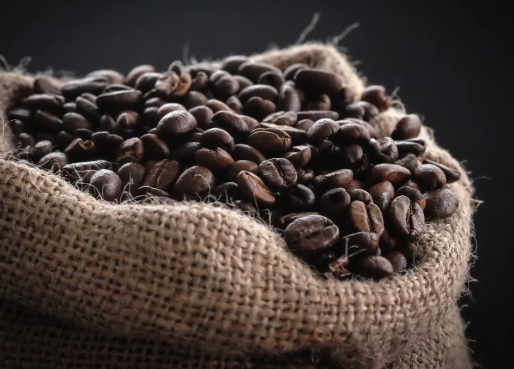 Brazil: Su&scaron;a u Brazilu pogađa farmere i prijeti da poveća cijene kafe