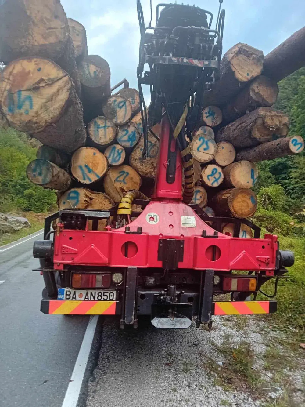 Uprava za &scaron;ume: Zaplijena čamovih trupaca u Beranama