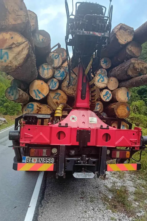 Uprava za &scaron;ume: Zaplijena čamovih trupaca u Beranama