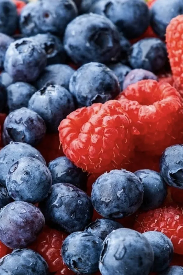 Borovnice&nbsp;smanjuju&nbsp;rizik od demencije