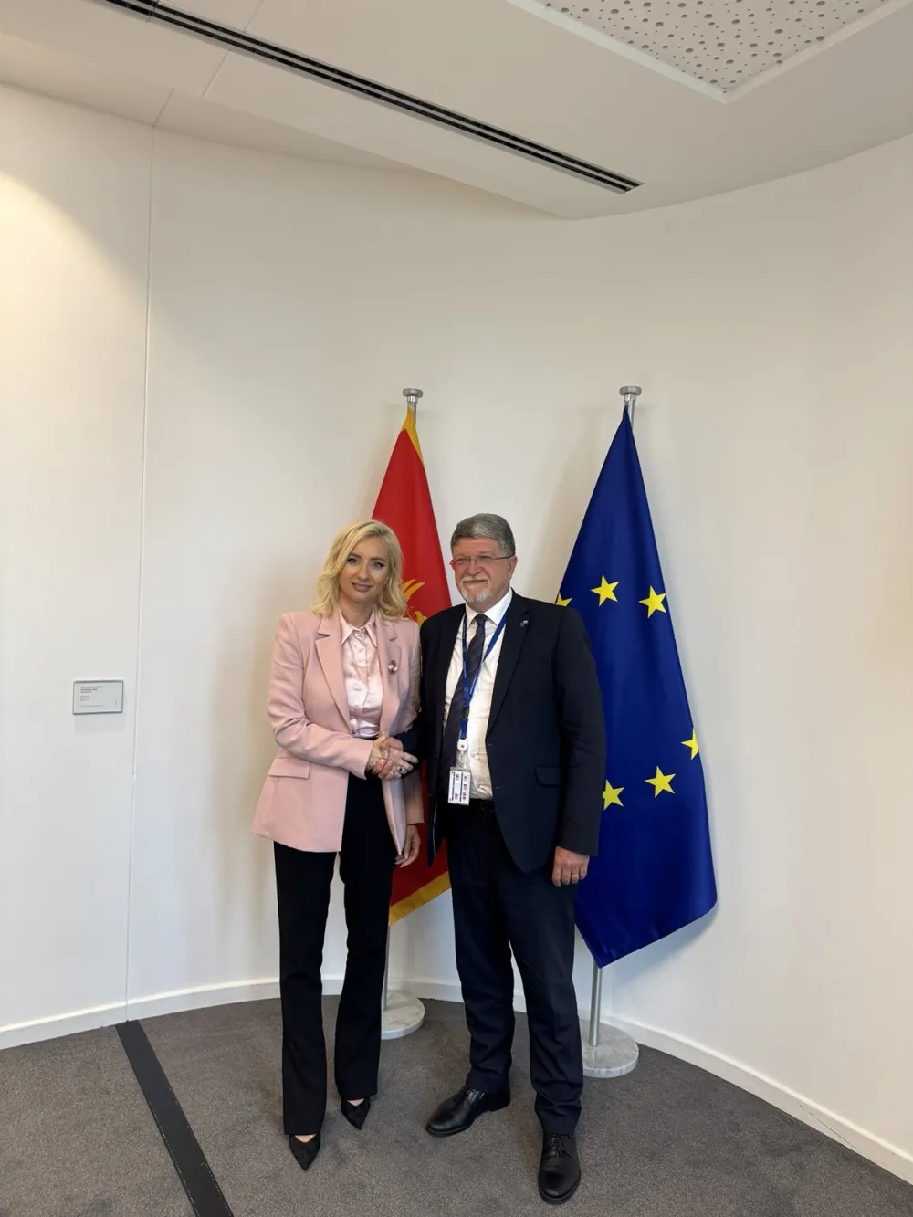 Gorčević u Briselu sa europoslanicima: Crna Gora je nadomak cilja