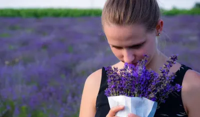 Horoskop za 24. septembar: Lavu potrebna ljubav, Vaga ima previ&scaron;e poslovnih obaveza