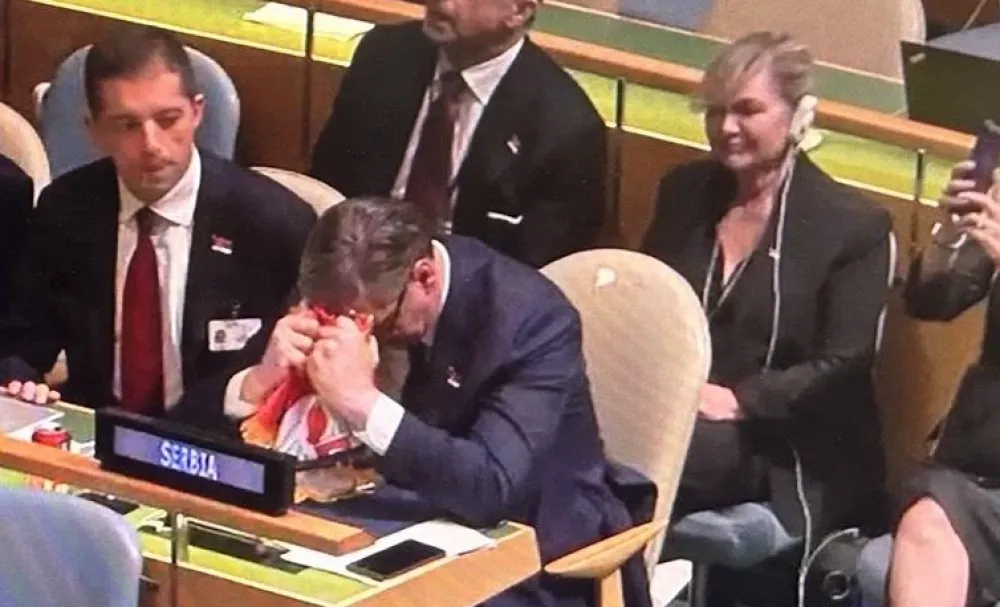 Aleksanda Vučić - Glasanje o rezoluciji o Srebrenici