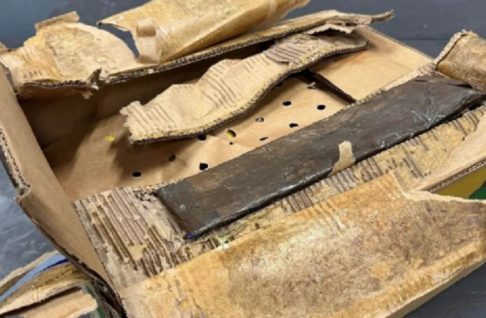 Roterdam: 317 kilograma kokaina skriveno među bananama