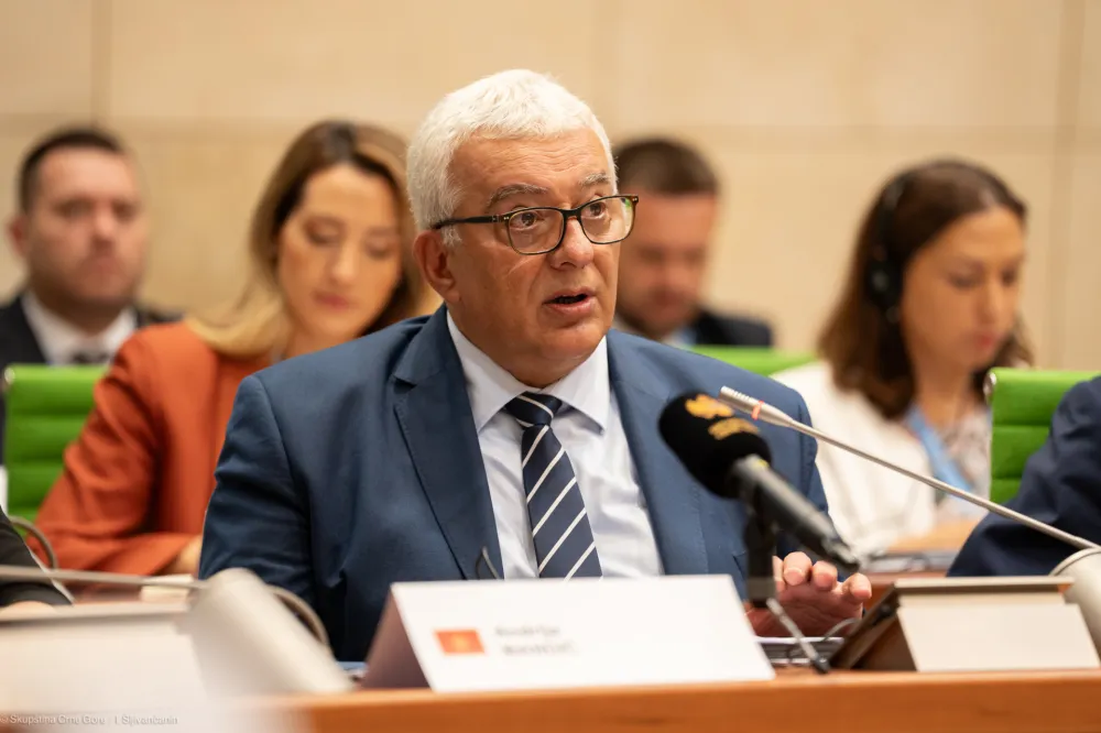FOTO: Andrija Mandić